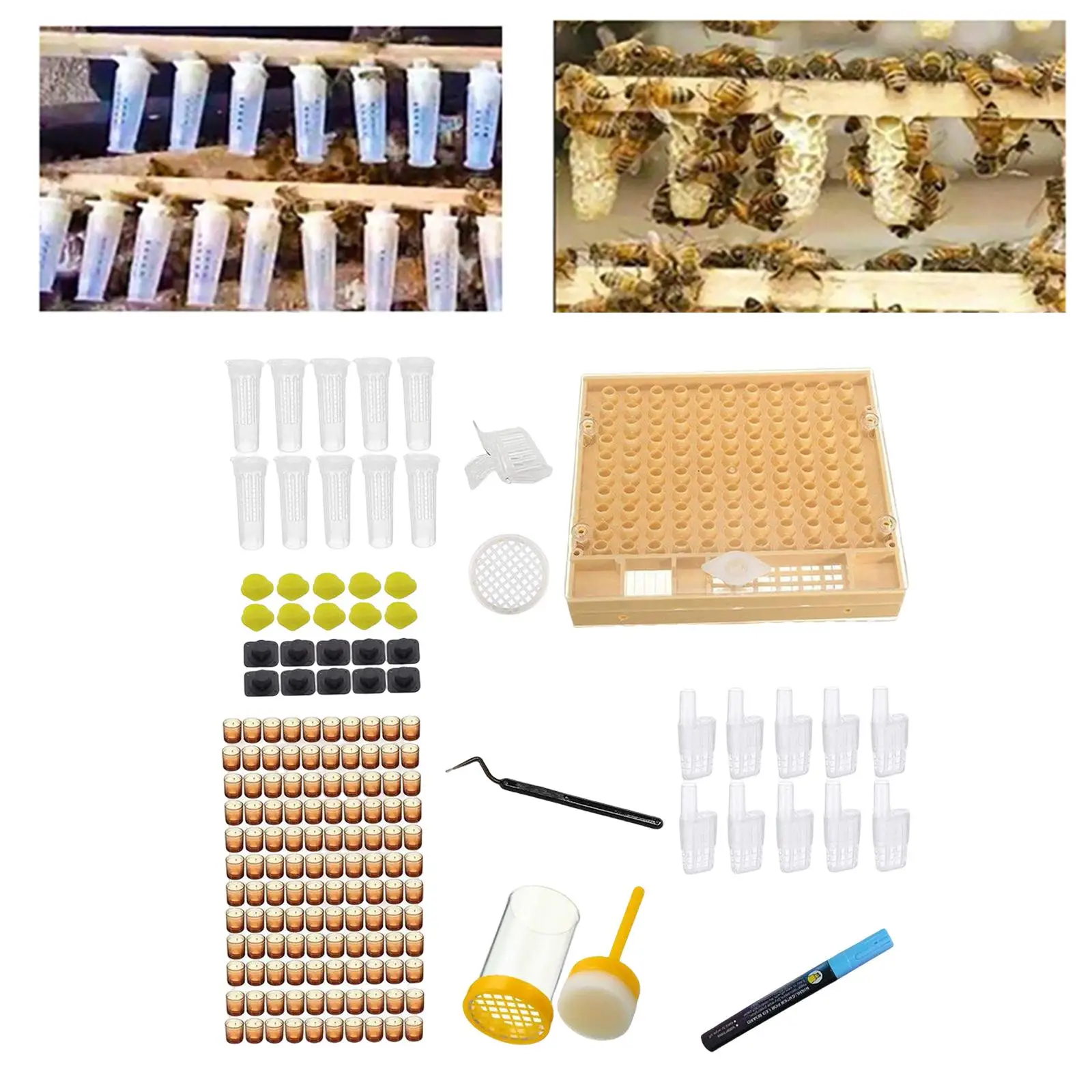 Complete Bee Queen Rearing Grafting Kit Convenient for Laying Eggs to Raise Queens Light Weight Catcher Cage Durable Bees Tools