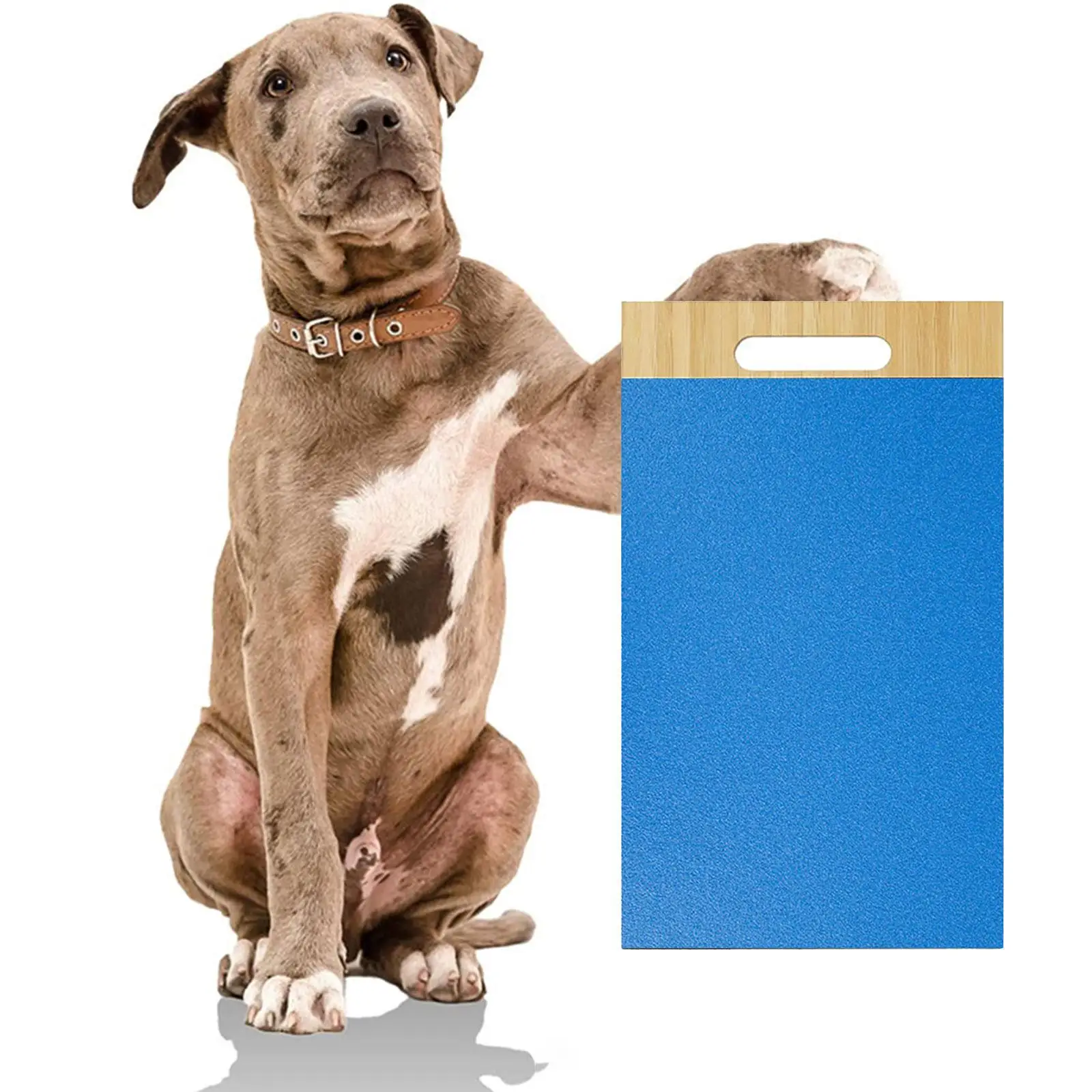 Dog Scratch Pad 14.6 x 8.7Inches Dog Scratching Pad for Large and Small Dogs