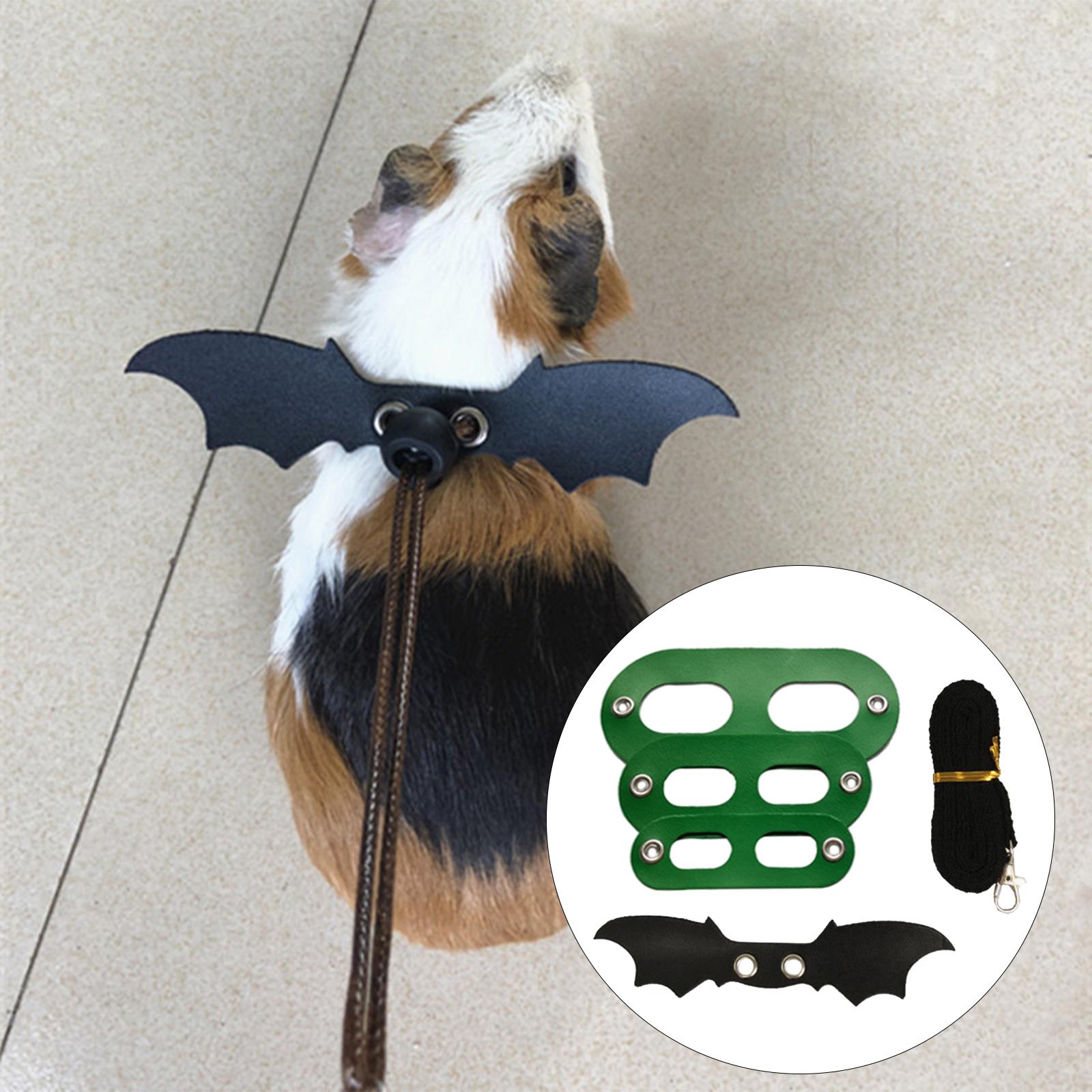 lizard leash leopard gecko