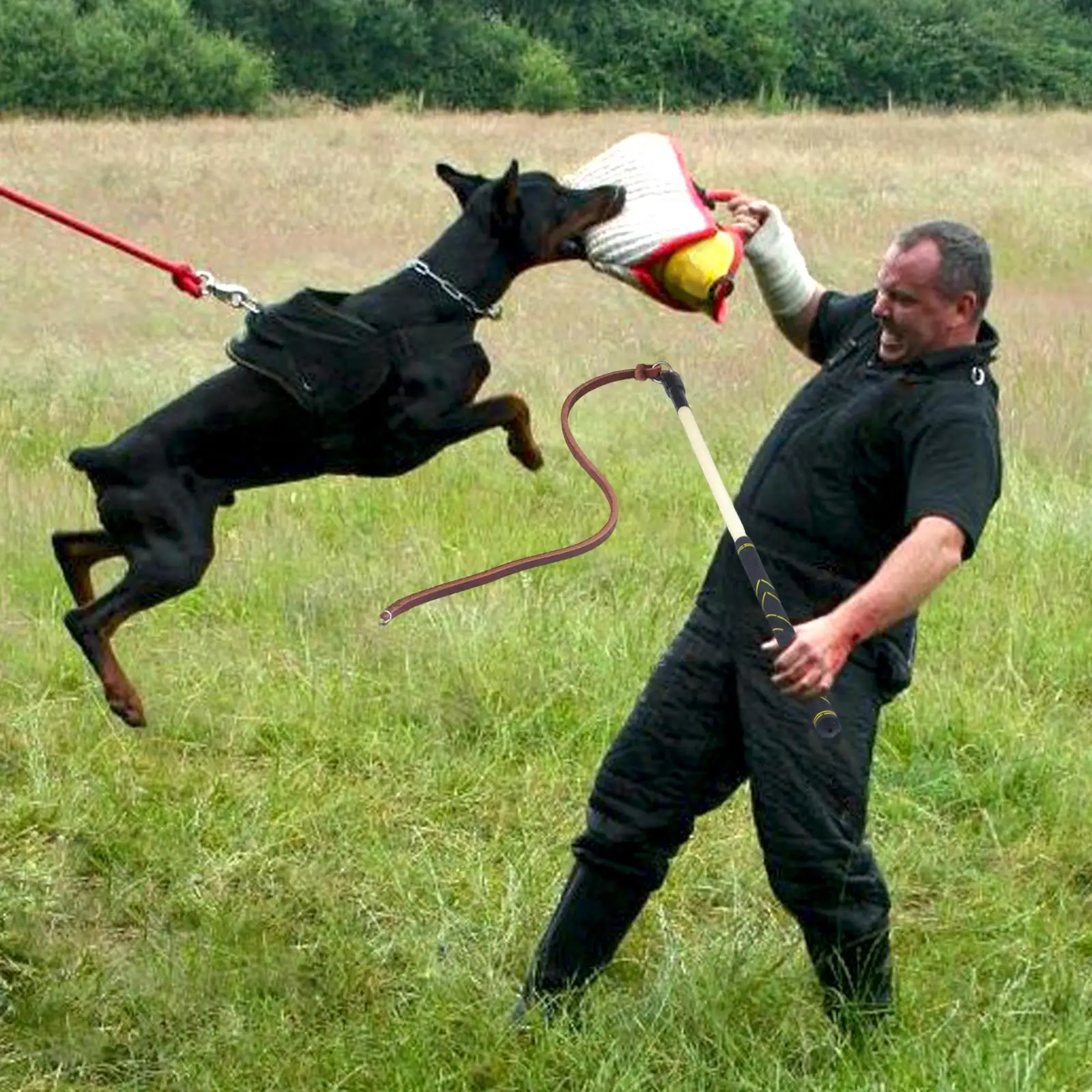 Leather Dog Training Whip Aggressive Pets Exercising with Handle for Medium Large Dogs Entertainment Obedience Equipment Toy