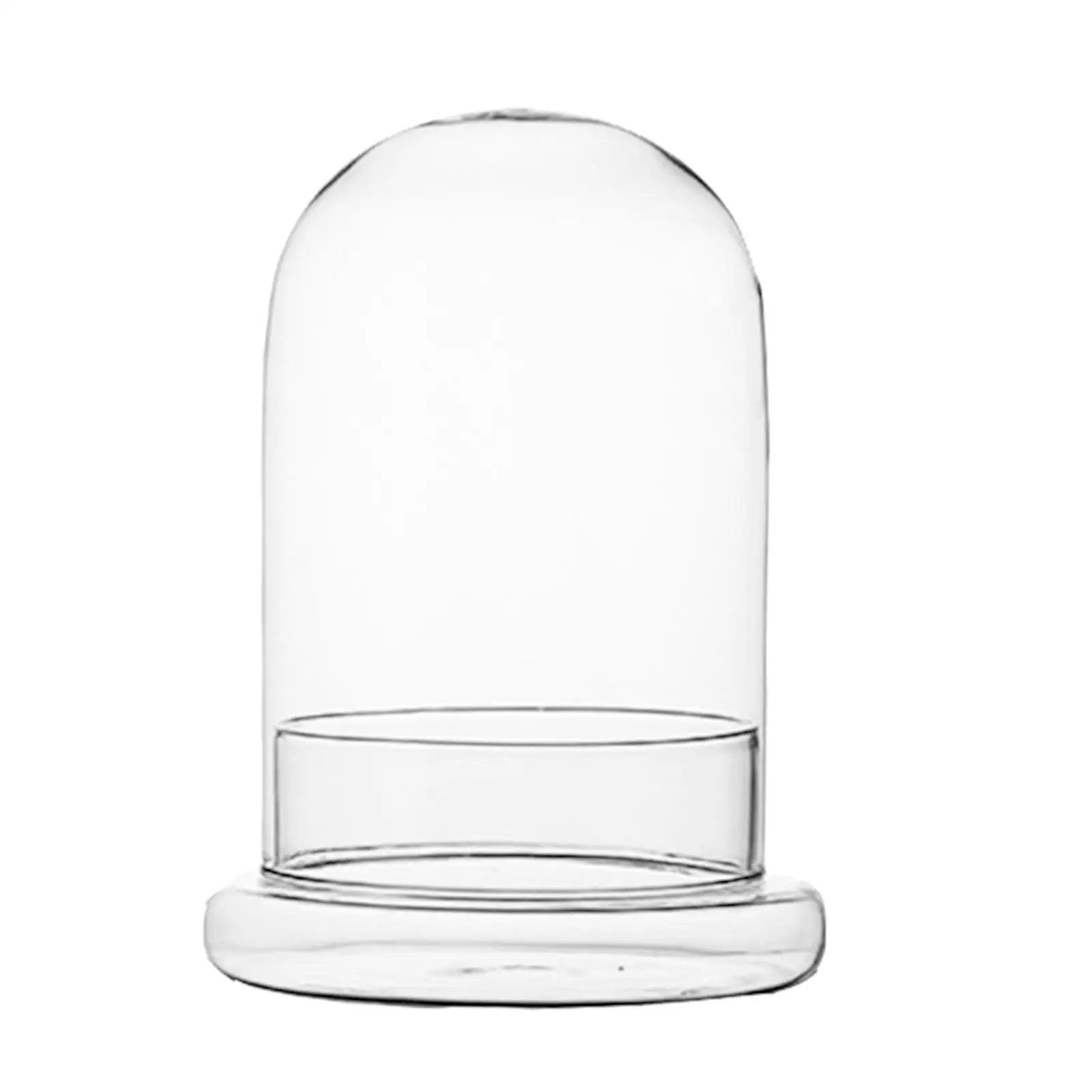 Micro Landscape Vase Landscape Container Plants Bottle for Party Indoor Desk