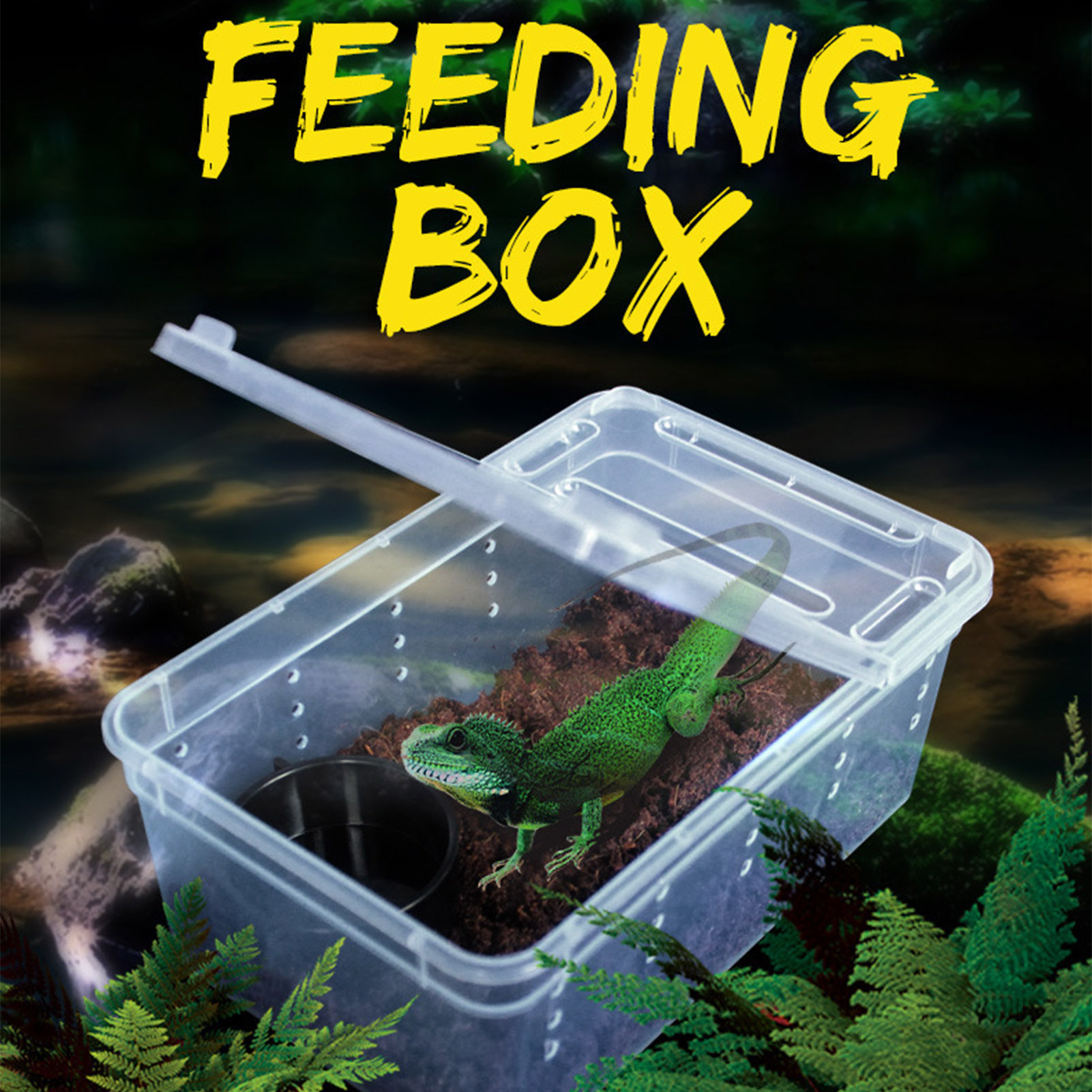 Title 1, Reptiles Feeding Box Containers for Spiders Liz...