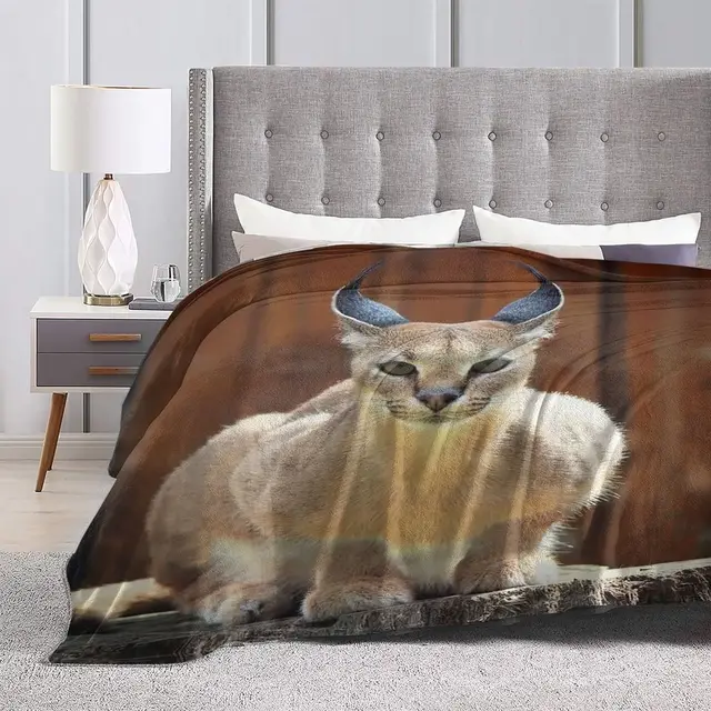 Caracal gato cobertores floppa animal flanela novidade macio lance cobertor  para cama lounge verão - AliExpress