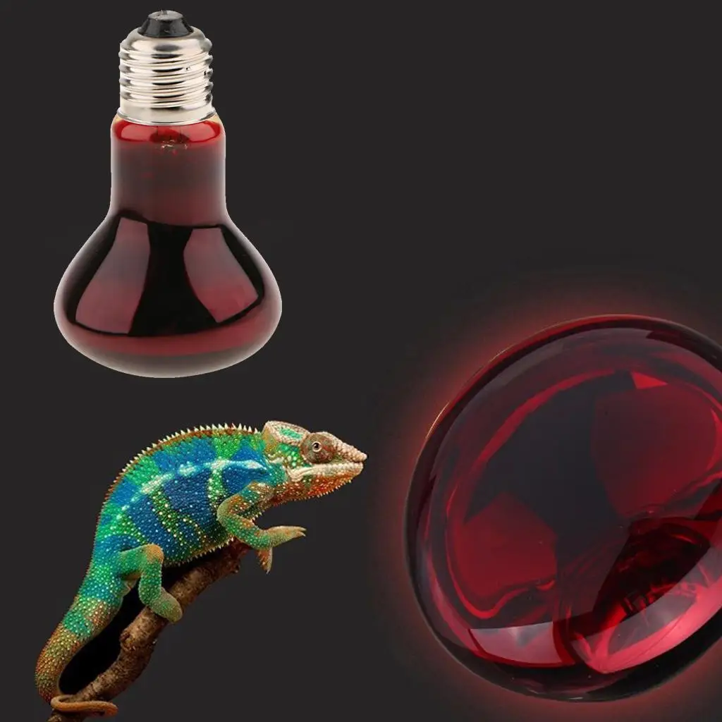 PetsOla Tortoise Reptile Vivarium Heating Light Beneficial UVA Nightlight Lamp 40W-100W