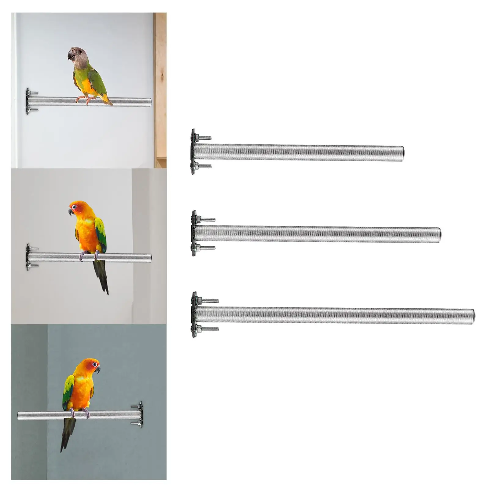 Bird Perch Stainless Steel Parrot Stand Bird Cage Perch for Budgies Parakeets Lovebirds Canaries