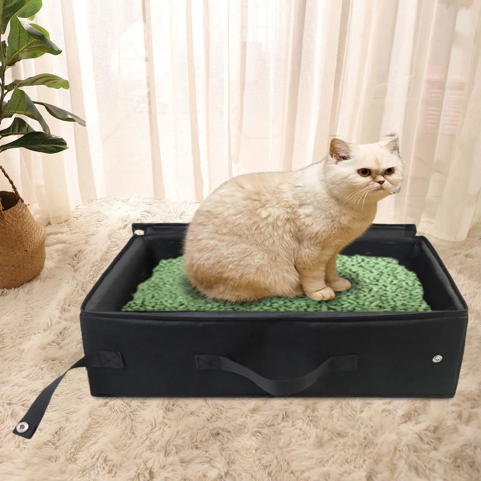 Cat Toilet Kitten Potty Toilet Cat Litter Container Cat Sand Box Foldable Cat Litter Tray for Travel Kitten Training Kitty