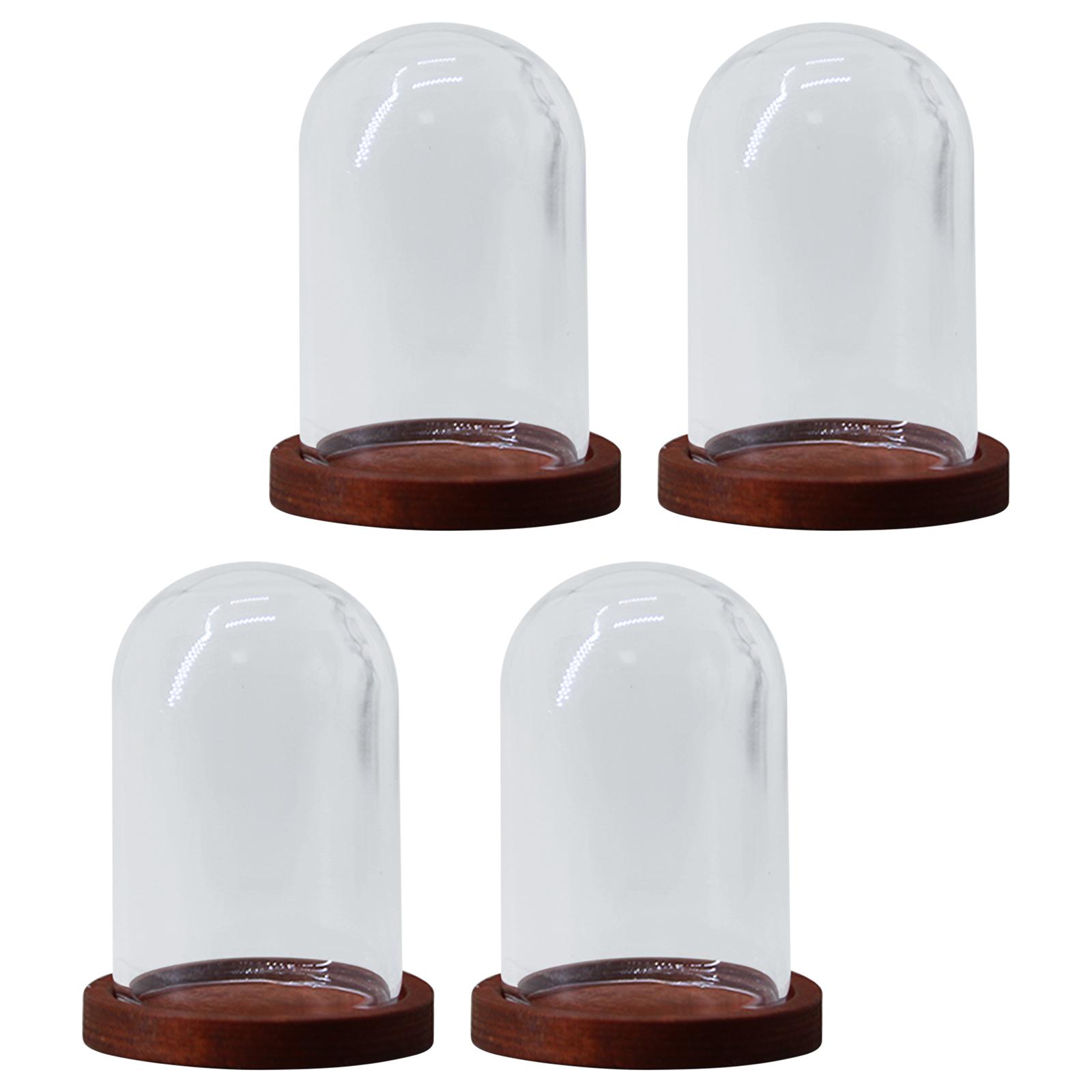 4 Pieces Dustproof Glass Cloche Dome, Vase Succulent Miniature Decorative Plants & Flowers Clear Glass Display Domes for Decor