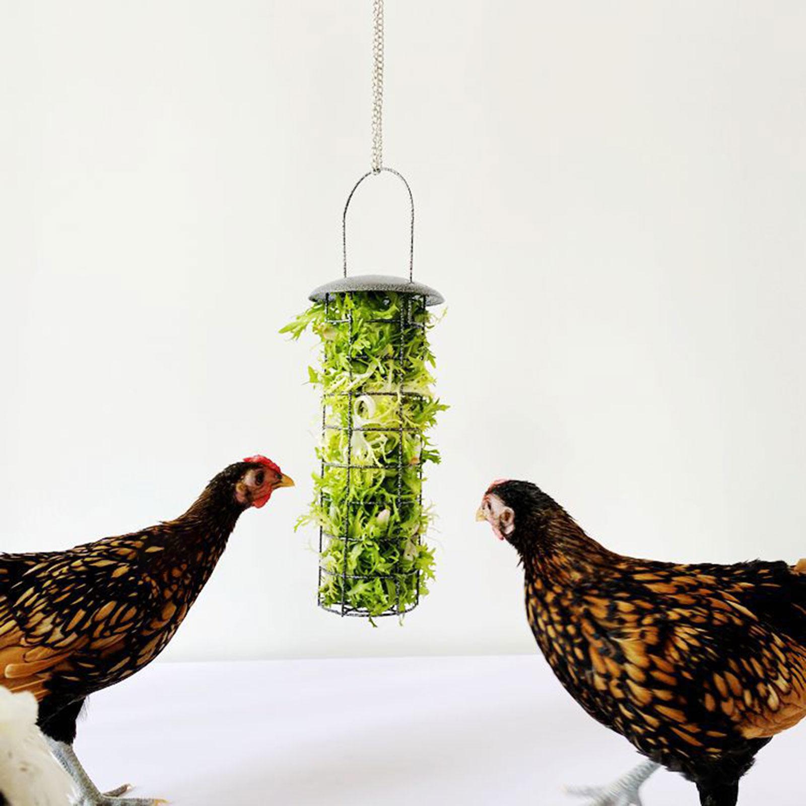 Feeder Basket Hanging Feeding Supplies Chicken Coop Toy Bird Food Holder