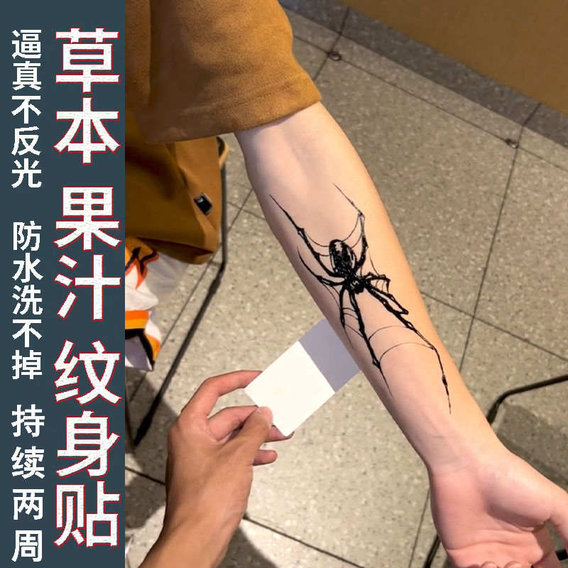 Kräuter spinne Tattoo Aufkleber für Frauen Mann Arm Kunst temporäre Tattoos wasserdicht gefälschte Tattoo Punk Spinnennetz dauerhafte Tattoo Aufkleber – Detail 2