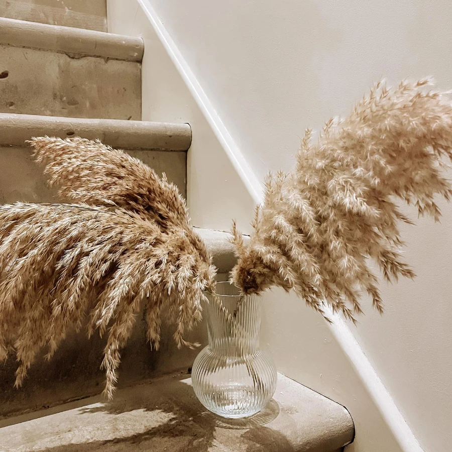30PCS Dry Flowers for Decoration Party Real Pampas Grass Natural Dried Flowers Bulrush Rabbit Tail Grass Fall Office Home Decor