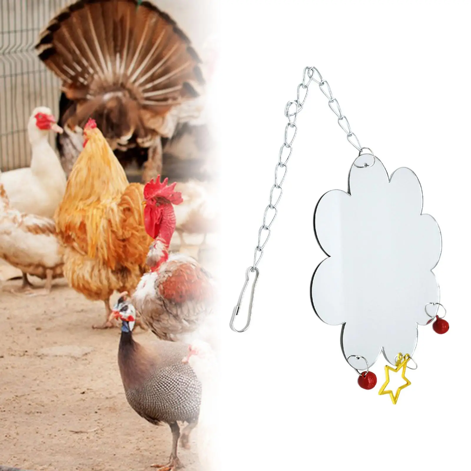 Chicken Mirror Toys with Bell Cage Hanging Bird Mirror Chicken Toys for Hens