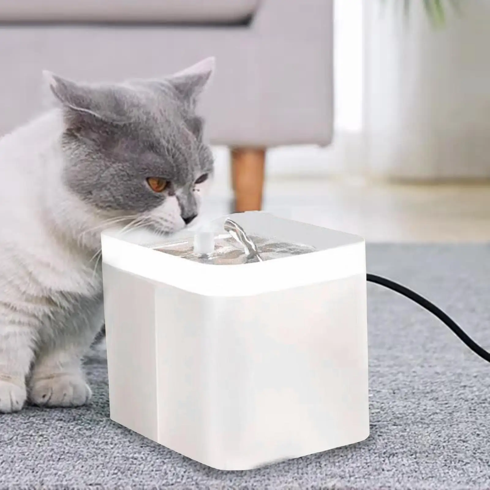 Pet Cat Water Fountain Water Dispenser Super Quiet Drinking Water Bowl USB
