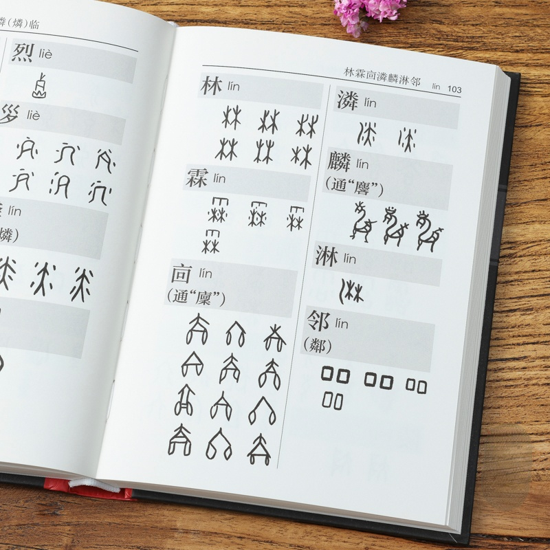 Oracle Knochen Skript Wörterbuch Copybook Chinesischen Zeichen Kalligraphie Sammlung Tutorials Buch Pinyin Index Mit Anmerkungen – Detail 2