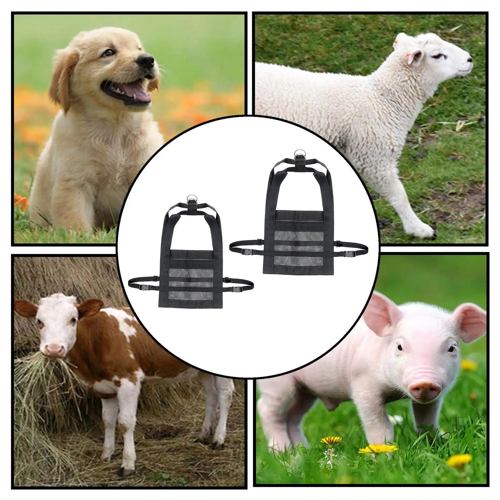  for Weighing Small Animals,Livestock , Scale, ing Weight Scale 
