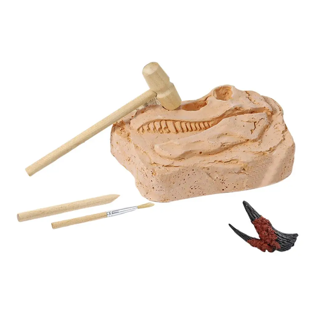 Dino Tooth Dinosaur Fossil Excavation Toys for Improve Hands-On Ability Kids