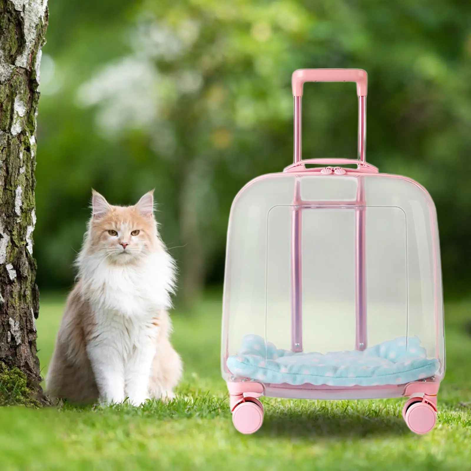 Lightweight Cat Trolley Case Dog Kennel with Silent Wheel Hard Pet Carrier for Kitten Kitty Small Animals Puppy Travel Hiking