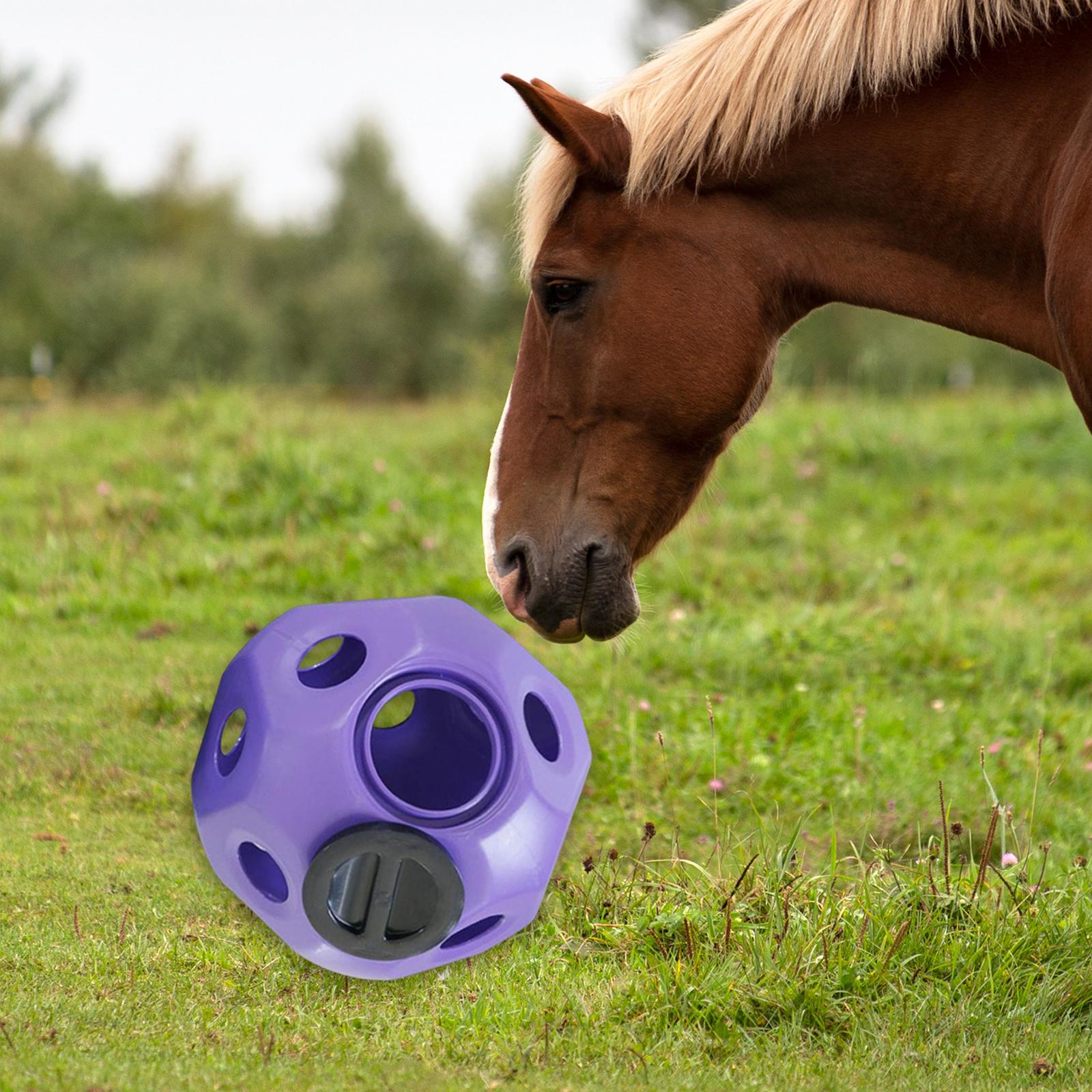 Fun Horse Treat Ball, Hay Feeding Toy, Horse Hay Ball, Horse