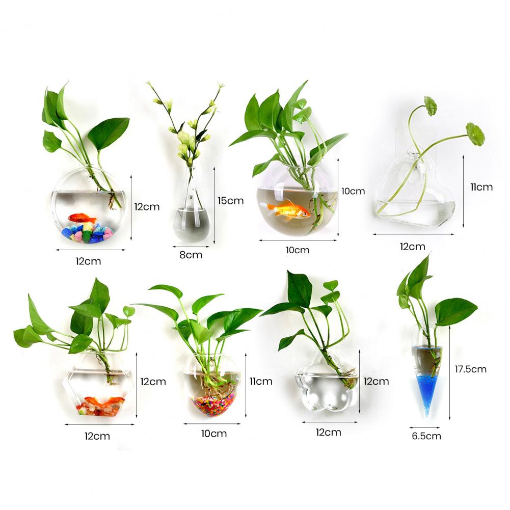 Гидропонная ваза, цветок, прозрачный настенный стеклянный горшок для  растений, Террариум, настенный аквариум для рыб, украшение для дома и сада  | AliExpress