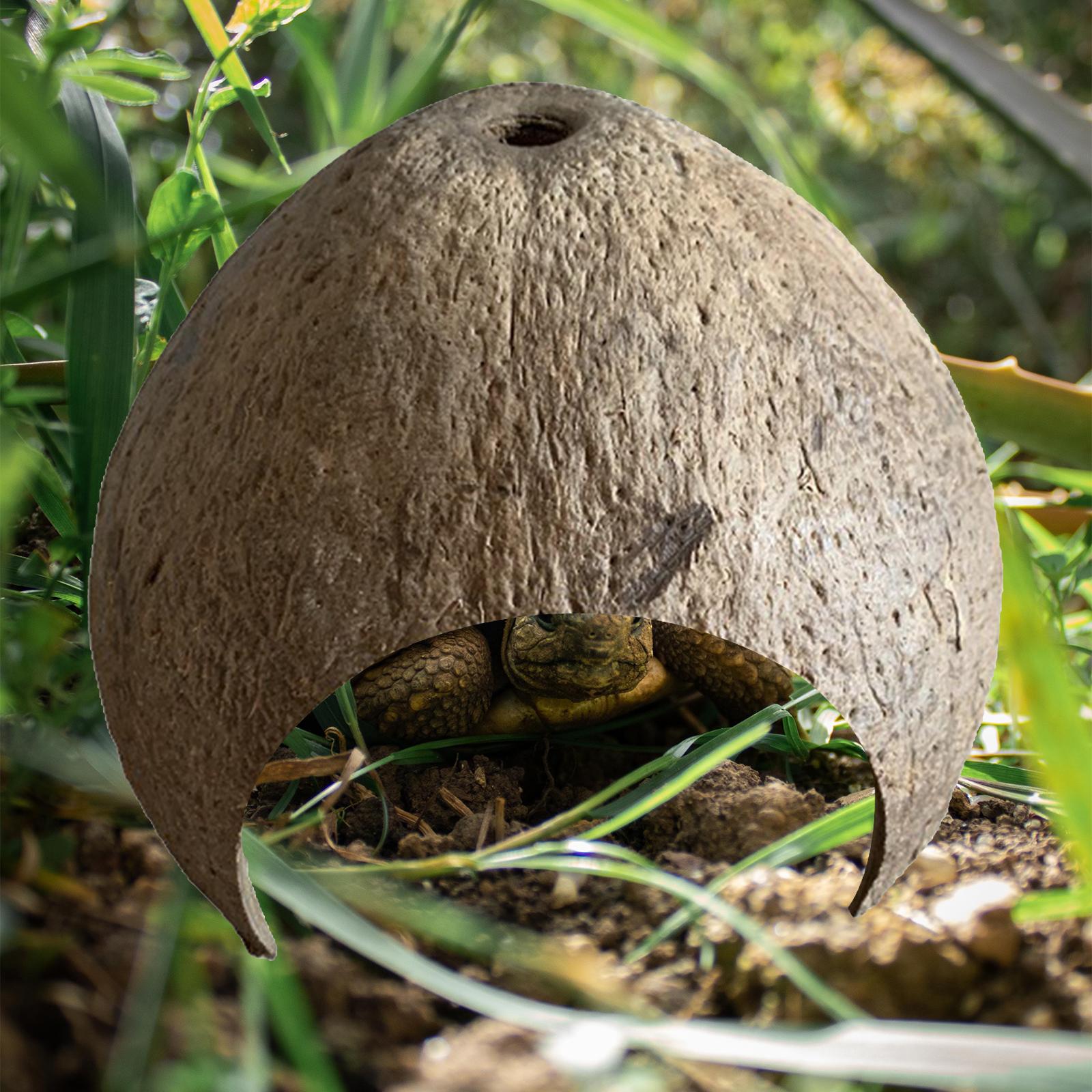 Title 5, Kokosnussschalen, Hütte, Unterschlupf, Reptilie...