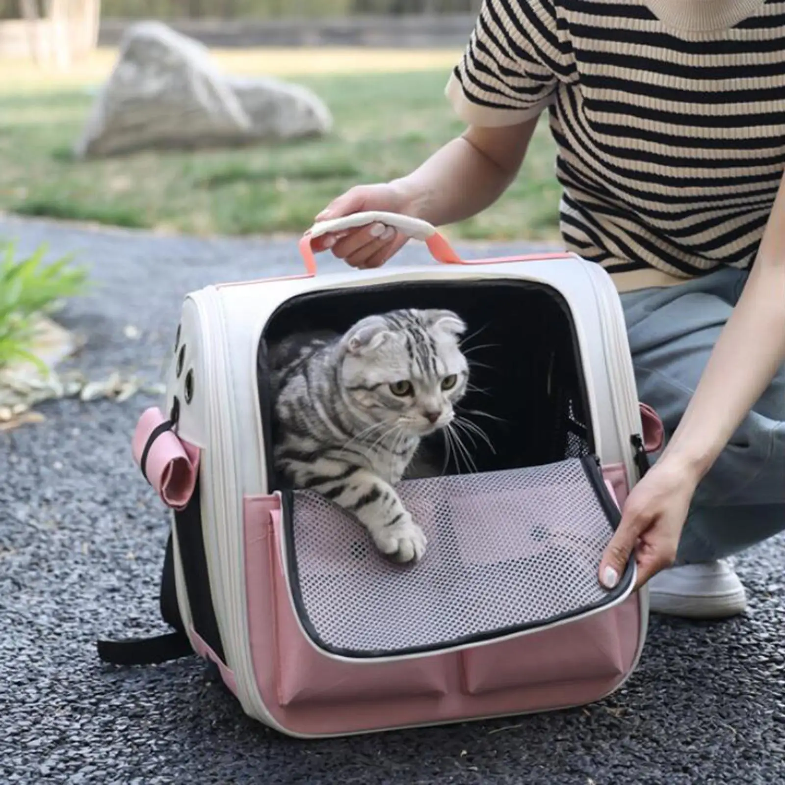 Pet Cat Carrier Backpack Ventilation Foldable Transport Multifunction Carrying Bag for Rabbits Outdoor Walking Traveling Hiking