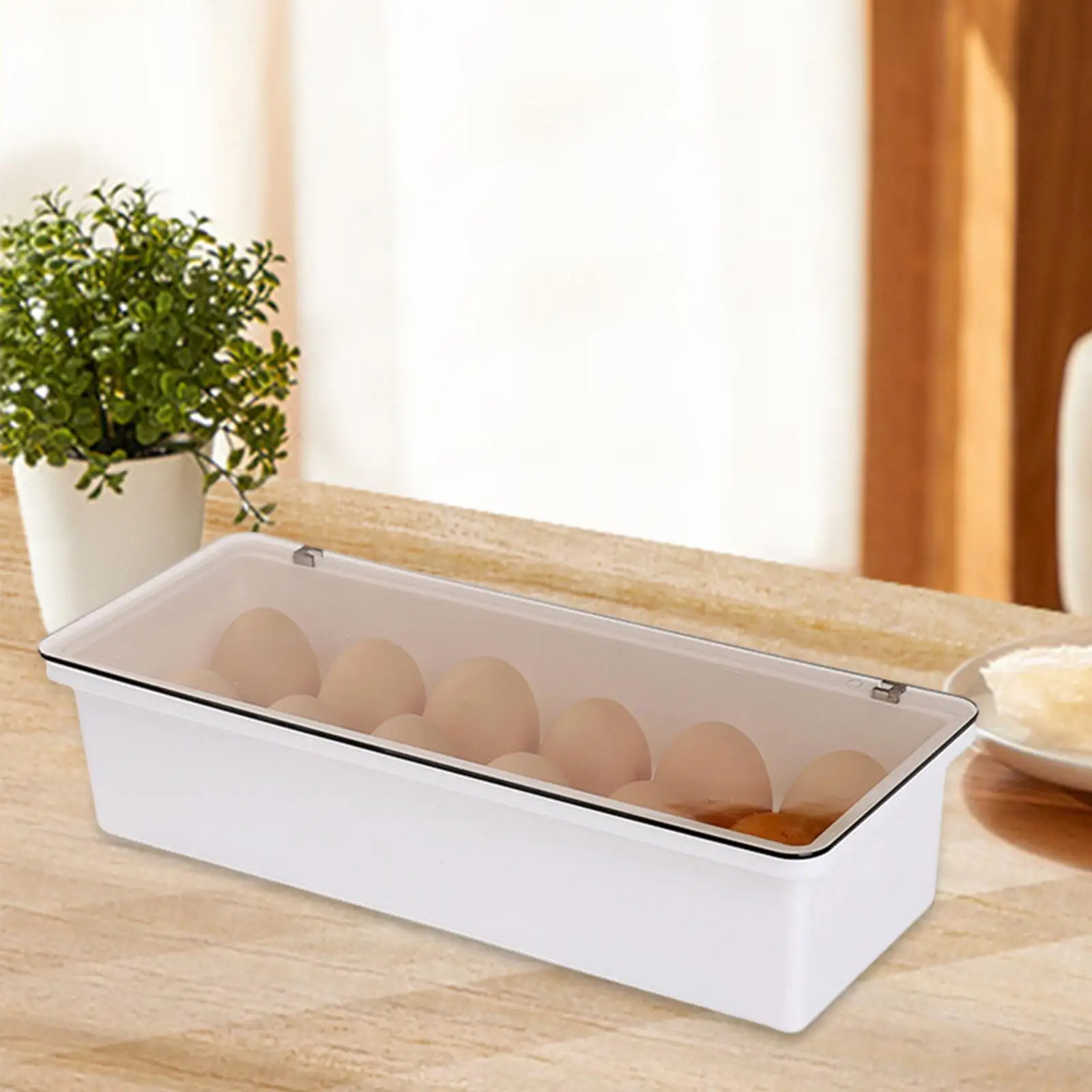 Egg Holder with Lid Egg  Storage Box for Refrigerator Cabinet Fridge