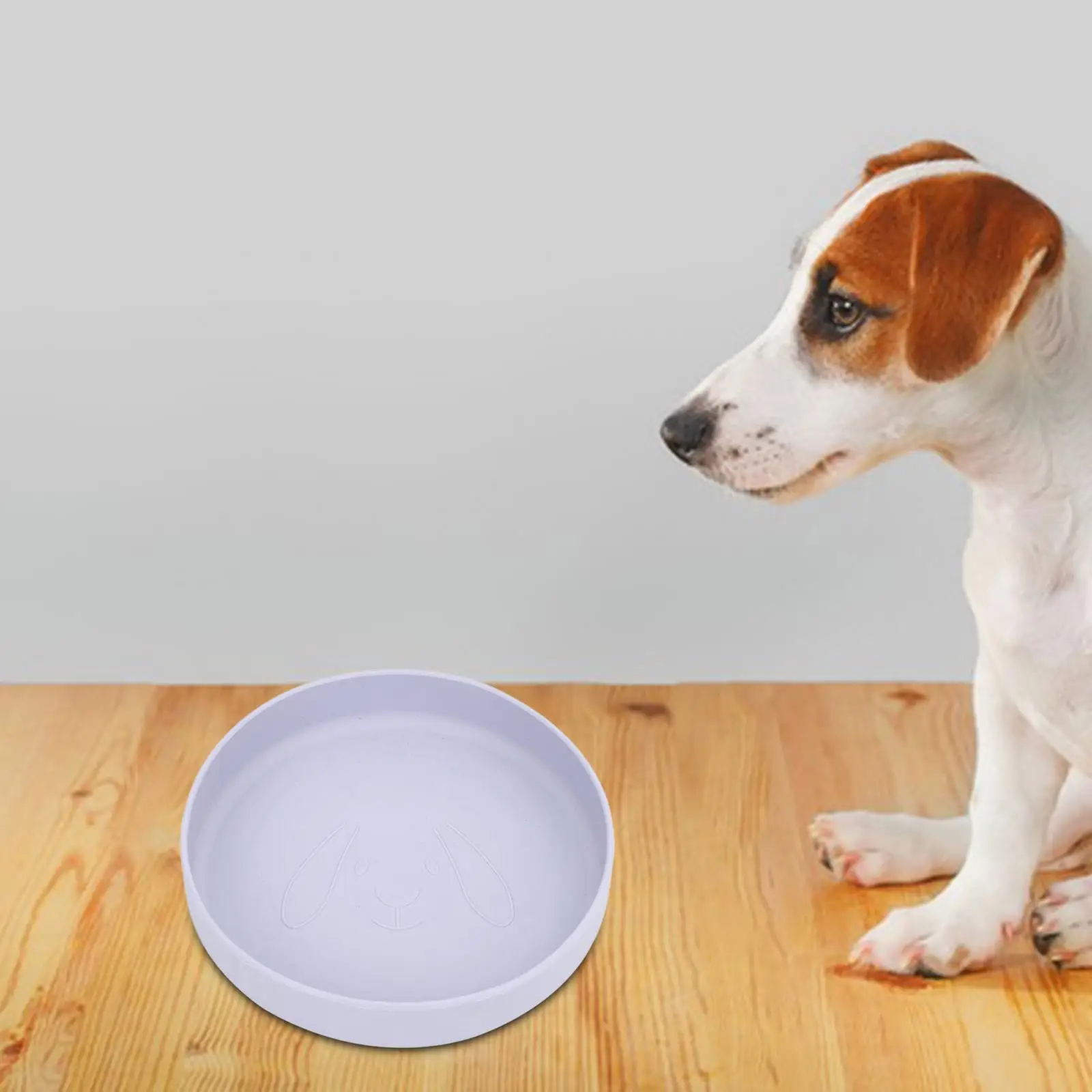 Cat Bowl No Portable 7 Inches Dog Food Bowl Silicone Feeding Bowl for Walking