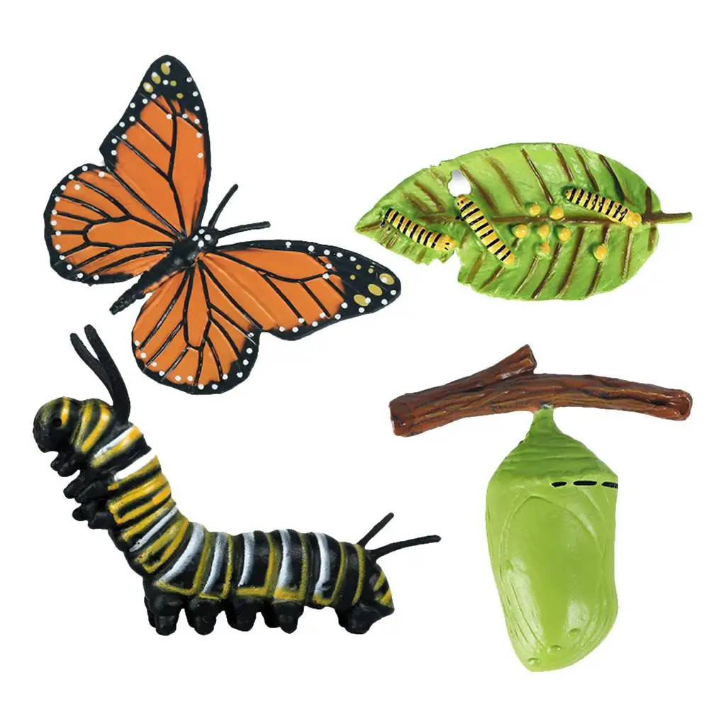 Simulation Life Cycle Figurine of Butterfly Growth Cycle Insect Animals Action Figures Educational Biology Science Toy