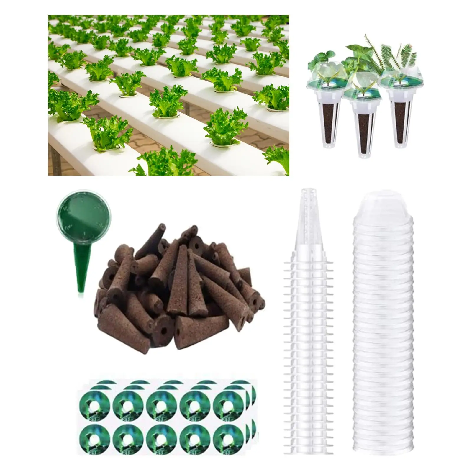 Soilless Cultivation Hydroponics Mesh Net Cups Replacement Starting System Garden Slotted Cups for Greenhouse Garden Aquaponics