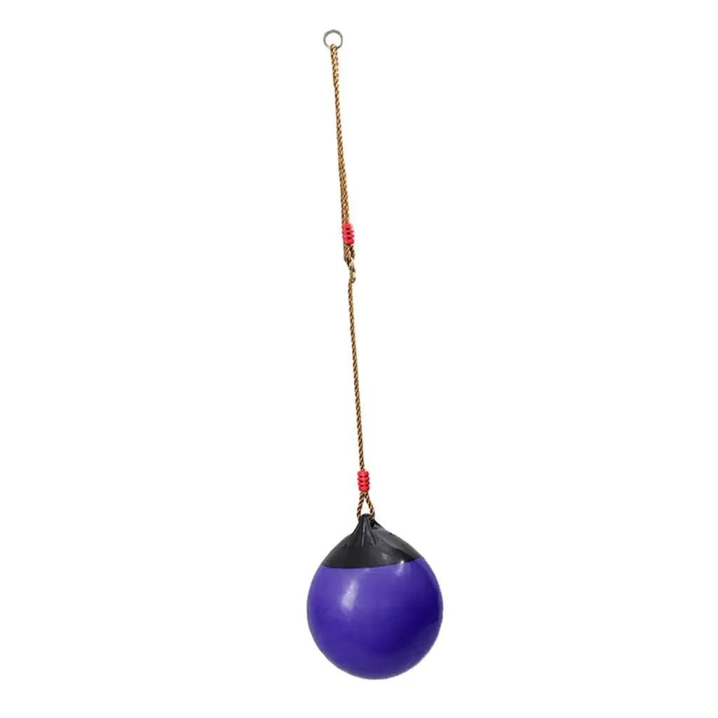 Ball Swing Seat with Heavy Duty Rope Hanging Multiple Colors for Kids