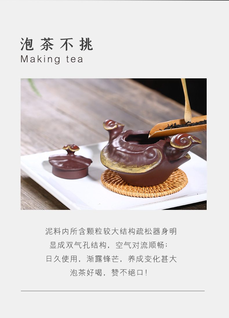 Ganoderma Ruyi_08.jpg