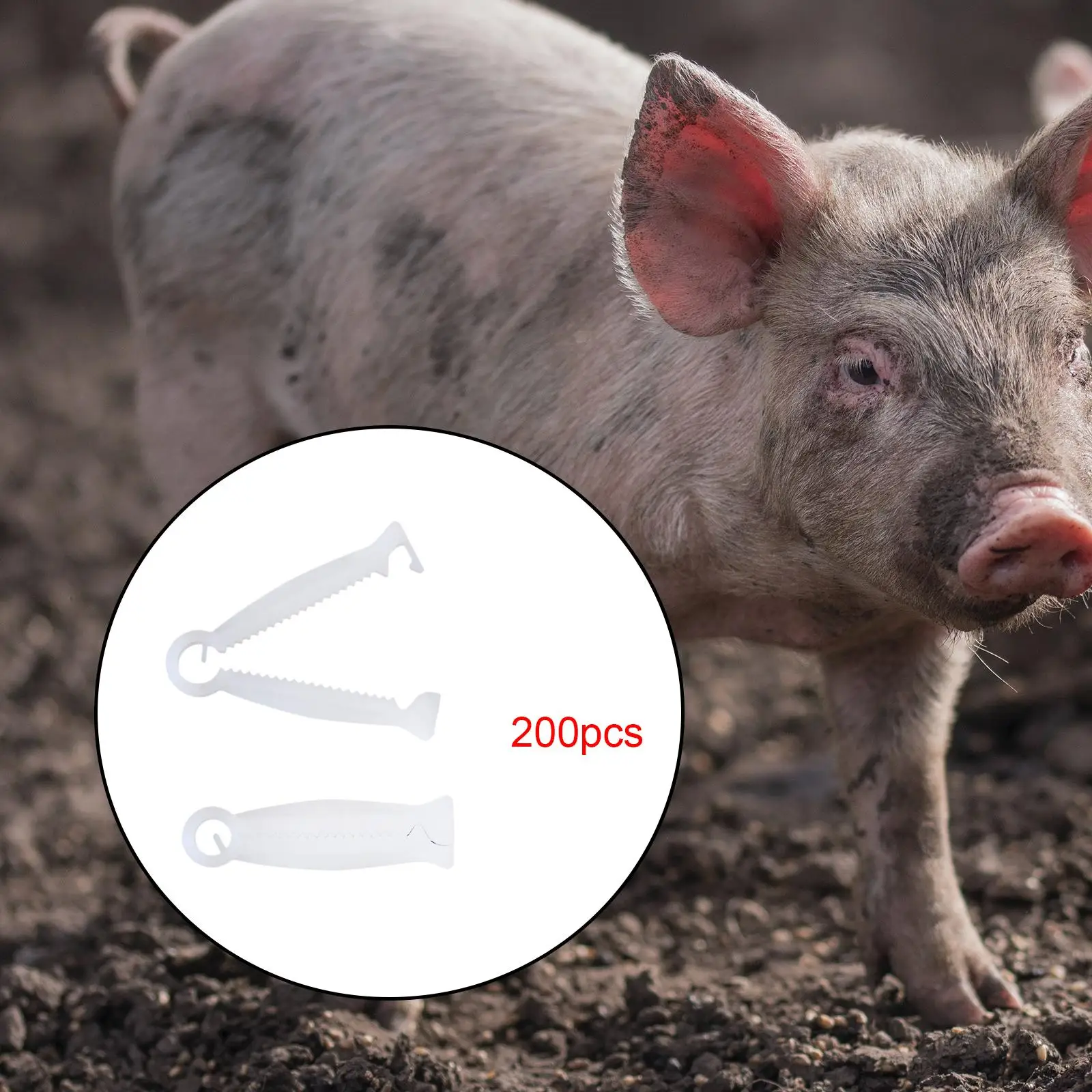 200x Pig Umbilical Cord Clip Disposable Livestock Birth Supplies Navel Cord Clamp for Pet for Lamb Farming Cow Pet Animals Pigs