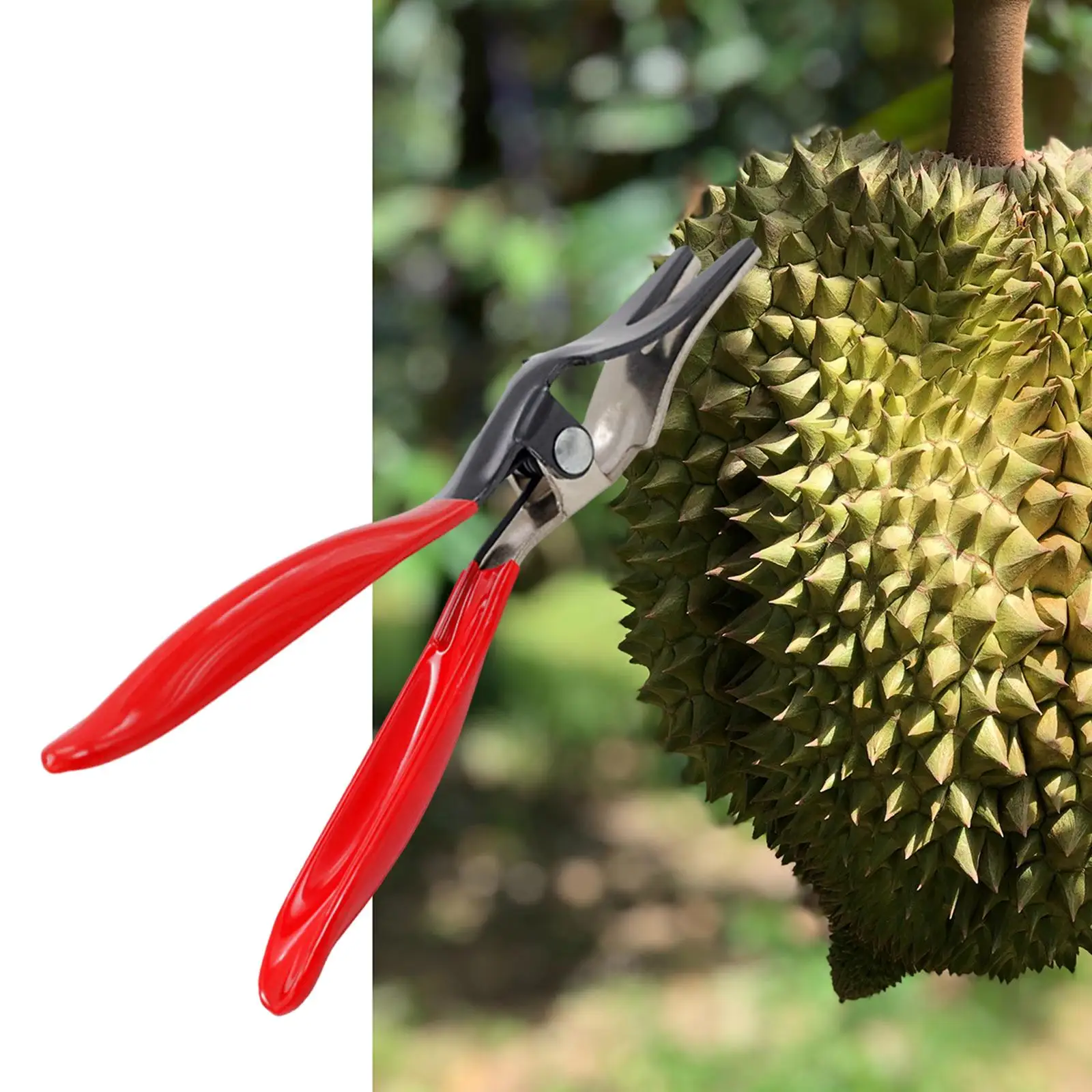 Durian Opener Kitchen Tools Thicken Clip Fruit Sheller Durian Peel Breaking Tools for Household Restaurant Fruits Shop