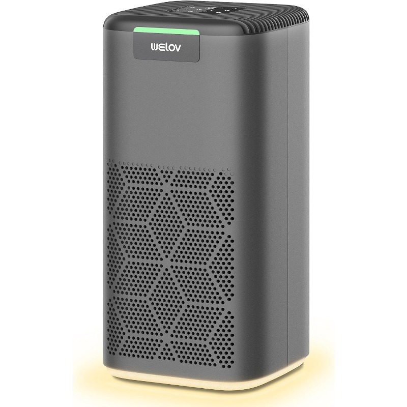 Title 1, Air Purifiers for Home Large Room: Welov H13 HE...