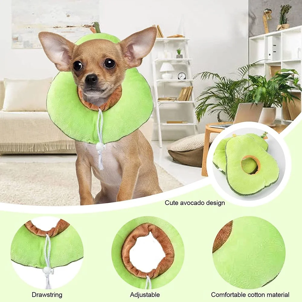 Un perro pequeño que lleva una prenda parecida a un collar verde con un diseño de aguacate. La prenda tiene cordón y parece ajustable, hecha de un material de algodón cómodo.