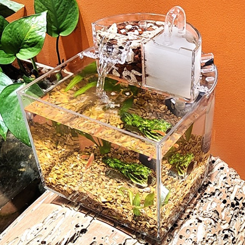 Title 4, Mini-Acryl-Aquarium, transparenter Fischhalter,...