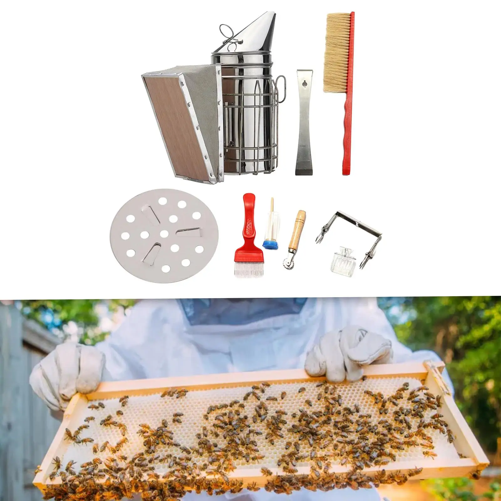 8x Beekeeping Tool Kit Set Apiculture Tool Wood Beekeeping Supplies Kits for Farm Beekeepers Bee Keeping Professionals Backyard