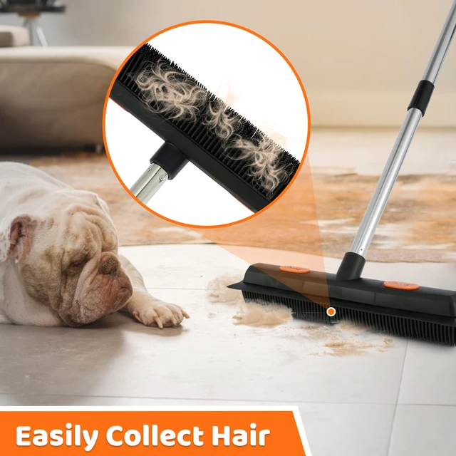 Pet Hair Remover Carpet Rake Adjustable Long Handle Cat Dog Hair Broom  Carpet Scraper and Brush Reusable Fur Lint Remover - AliExpress