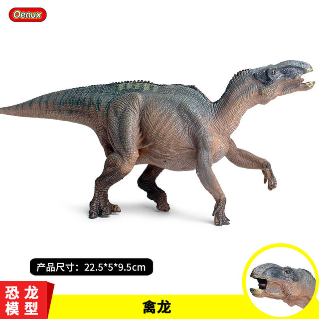 恐竜 骨 フィギュア カラフル 5点セット｜Yahoo!フリマ（旧
