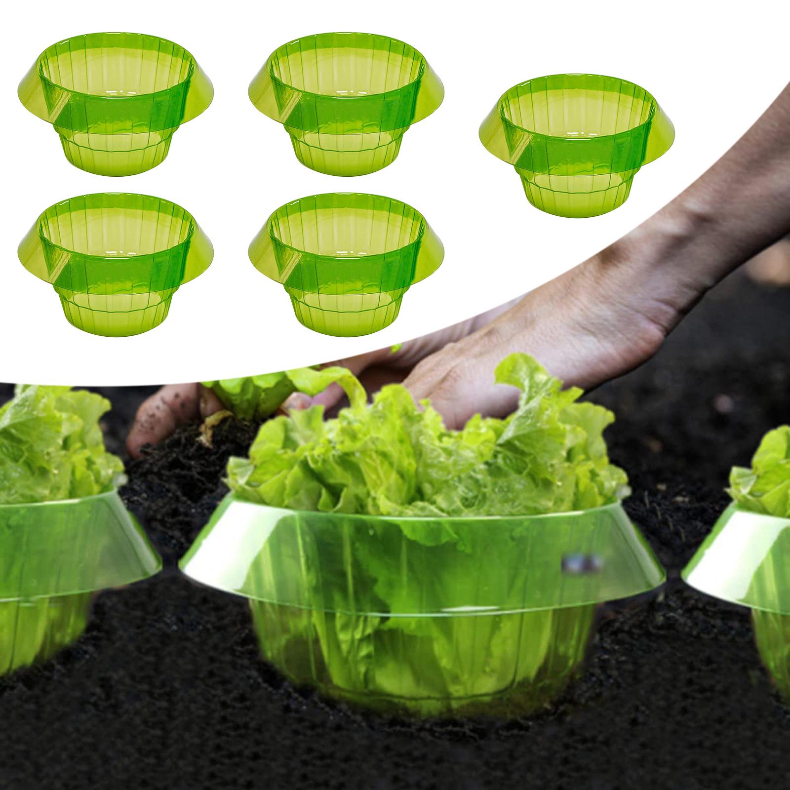 Durable Flowers Protective Cover Protection Barrier Plants Protective Collars for Vegetables