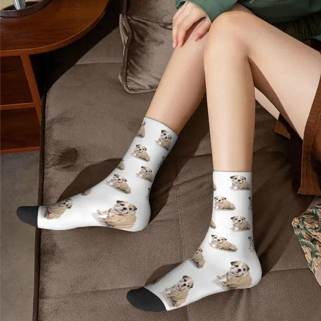 English Bulldog Socks - Men's Novelty Dress Socks