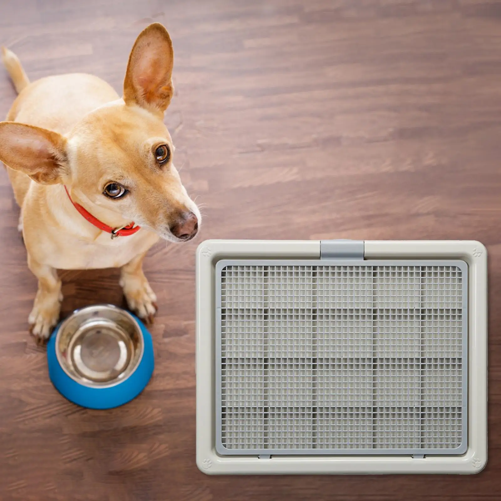 Dog Training Toilet Detachable Keep Paws and Floors Clean Potty Tray