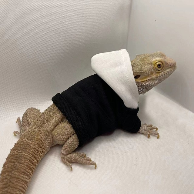 Bearded Dragon Halloween Costume Bearded Dragon Hoodie Handmade