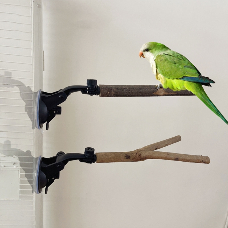 Title 4, Birdcage Perch Stand Suction Cup Standing Perch...