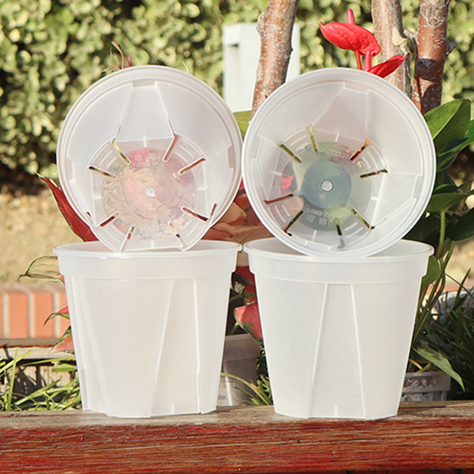 Description Picture 6 of itemRoot Control Transparent Flower Pots With Tray Plastic Plant Pots Breathable Nursery Pots For Planting Orchids Garden Supplies