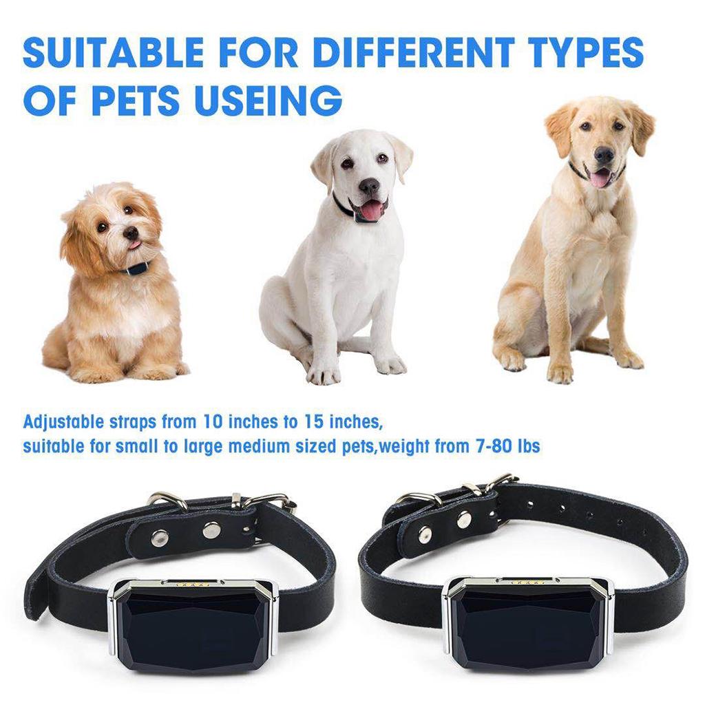 Pet , No Monthly Fee,   Collar Device, Cellphone Control for Dogs And Pets Activity Monitor