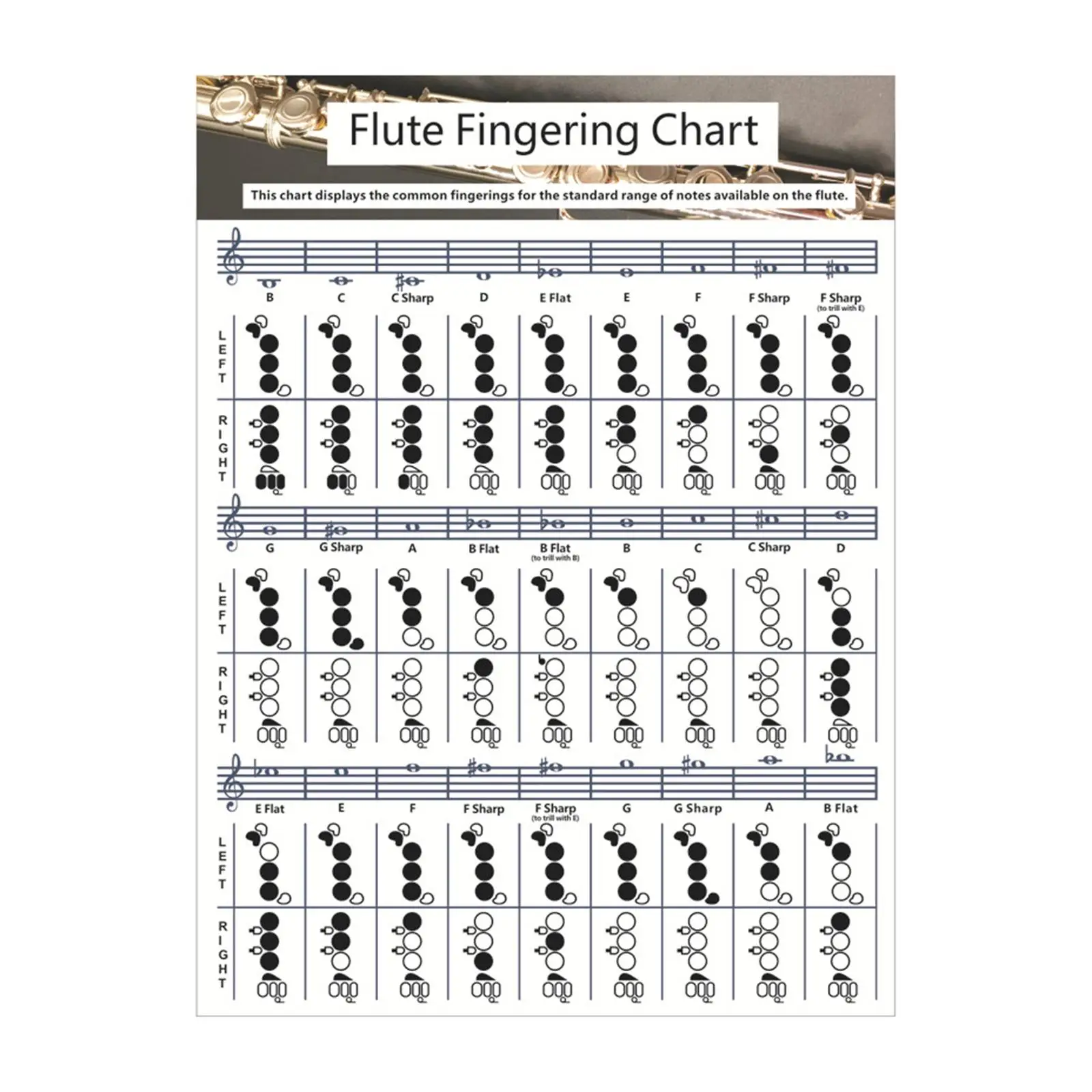 Copper Sheet Flute  Fingering Chart Instrument Instructional for Kids