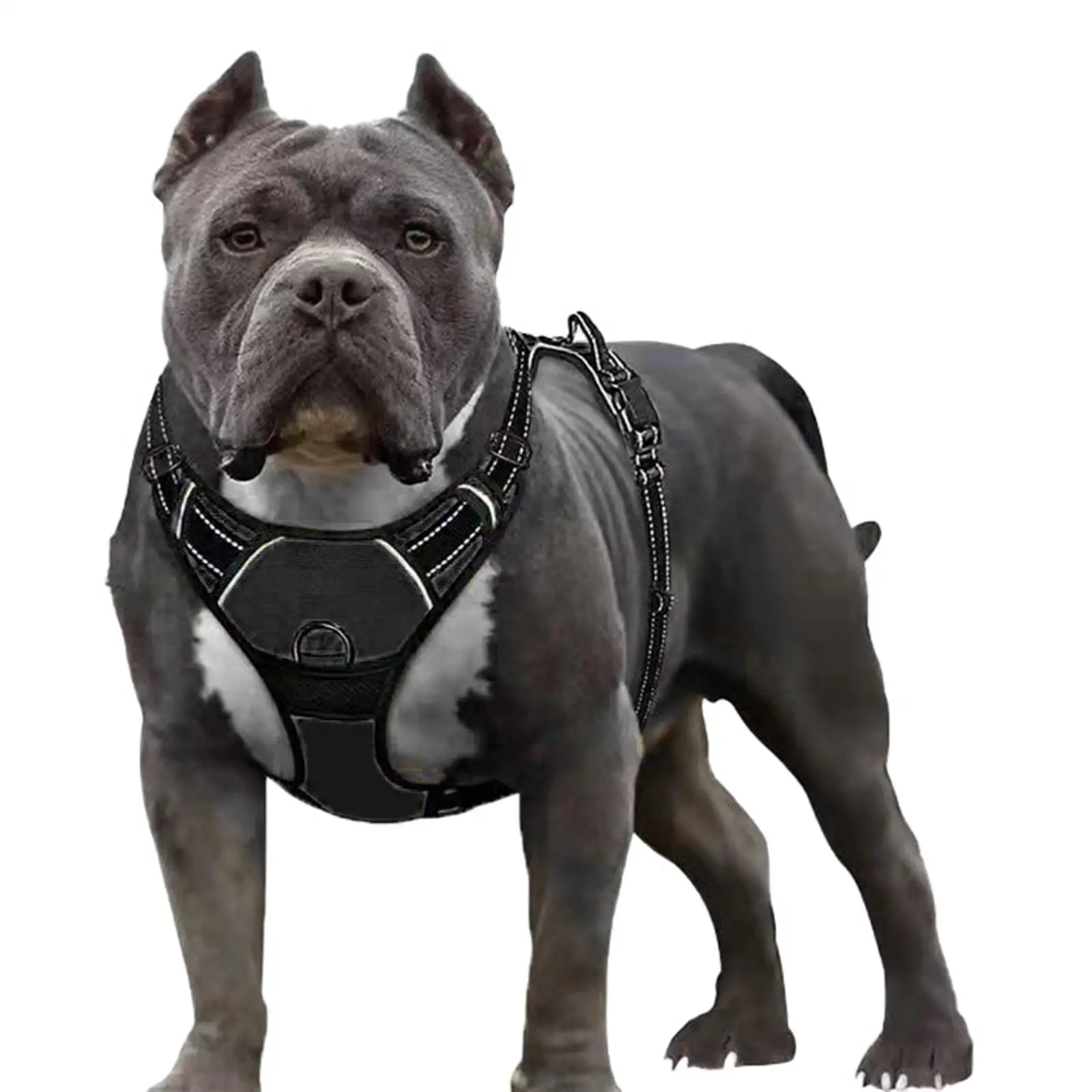 Breathable Dog Vest Harness Adjustable Reflective Comfortable for Running Various Sizes Pet Dogs Walking Puppy Outdoor