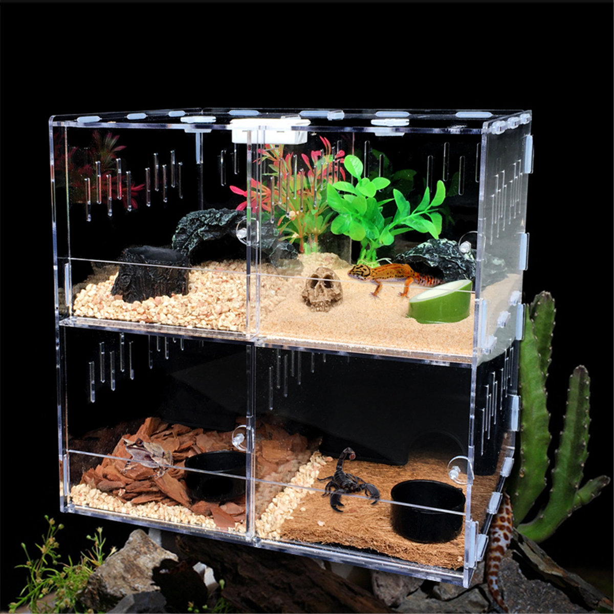 Title 7, Reptile Feeder Tank Acrylic Terrarium Insect Sp...