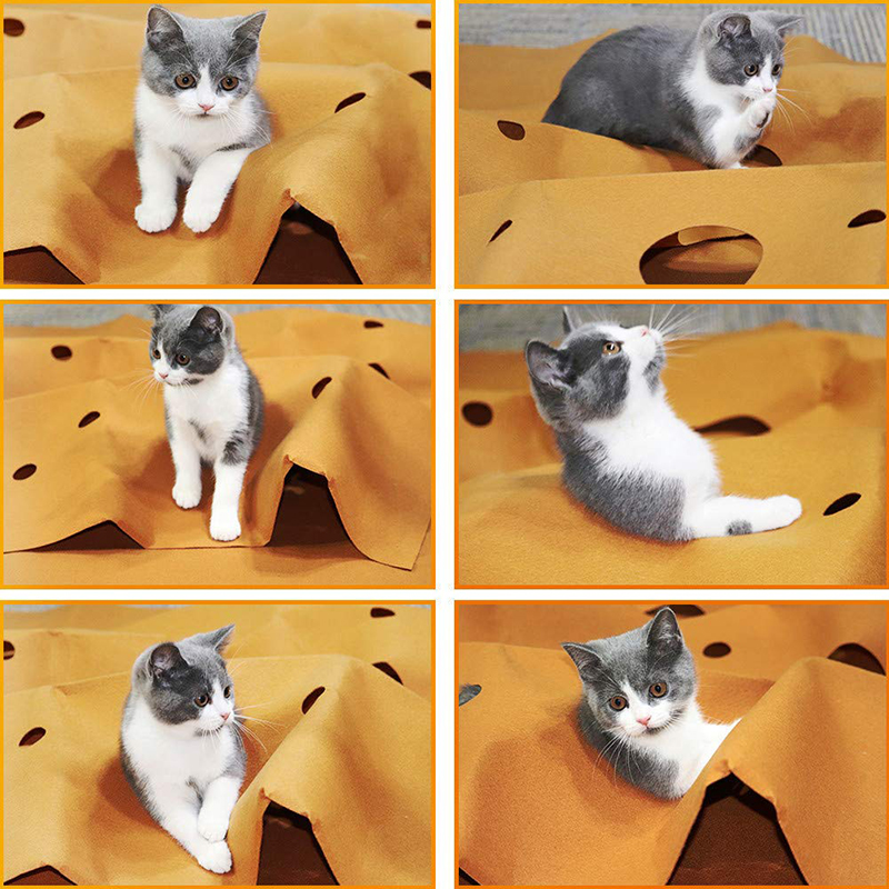 Cat Tunnel Agility Training Set – Interactive Maze Toys &amp; Felt Cushion for Kittens | Indoor Play &amp; Bite Pad Pet Supplies