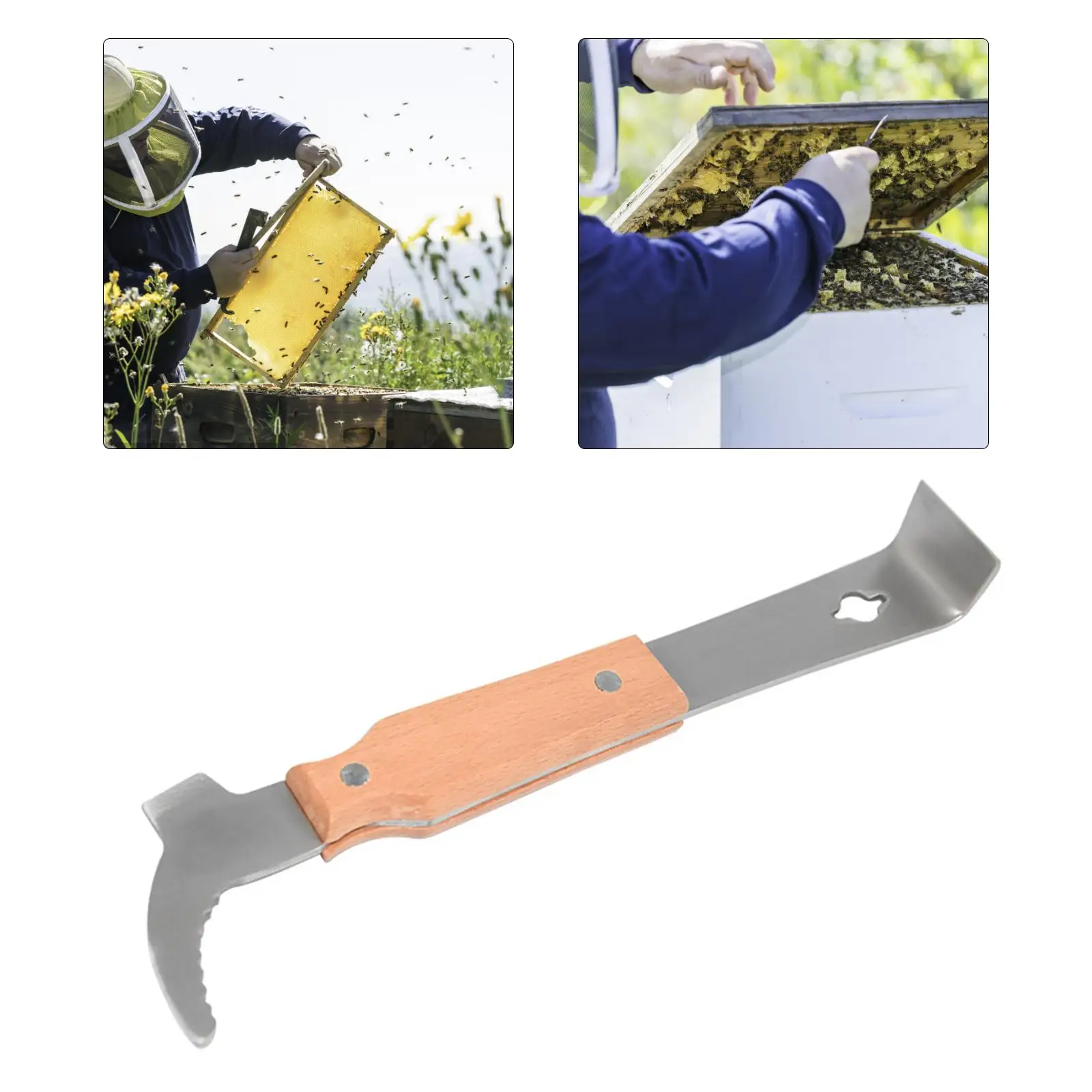 Bee  Scraper Bee  Hook Scraper   Bee Scraper Bee  Lifter for Apiculture Uncapping Beekeeping Equipment